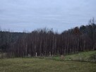 Mazury zachodnie, działka na sprzedaż - 5