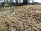 Działka budowlana Świniarsko gm. Chełmiec - 2