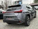 Lexus UX 250 Hybrid Ful LED Premium - 5