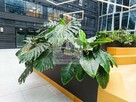 Lokal użytkowy Warszawa Wola, Towarowa - 5