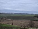 Mazury zachodnie, działka na sprzedaż - 3