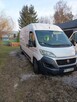 Fiat Ducato chlodnia - 10