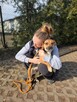 Biba-niewielka suczka do odpowiedzialnej adopcji - 4