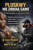 Łowcy Pluskiew profesjonalne usuwanie pluskiew - 10