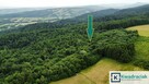 Działka leśna Stary Żmigród gm. Nowy Żmigród, - 3