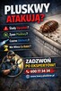 Łowcy Pluskiew profesjonalne usuwanie pluskiew - 9