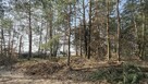 Malownicza działka w Pogórskiej Woli - 10 ar. - 6