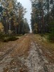 DOM ZE STAJNIĄ, URLE/Adampol, NA DZIAŁCE ZAGRODOWEJ - 16