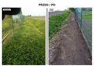 SPRZĄTANIE DZIAŁEK OGRODÓW - 11