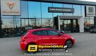 Seat Ibiza Telefon: 790_450_394 Lokalizacja: Przeźmierowo - 8
