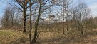 Działka budowlana Marcyporęba gm. Brzeźnica - 9