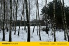 Służewo, działka ze stawem, częściowo zadrzewiona. - 7