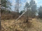 Piękna działka Tłumy gm.Mszczonów - 2