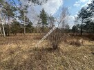 Piękna działka Tłumy gm.Mszczonów - 5
