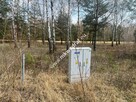 Piękna działka Tłumy gm.Mszczonów - 6