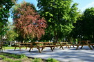 Sanatorium Uzdrowiskowe CHEMIK - Ciechocinek - 4