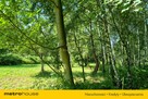 Działka budowlana w lesie! Zamieszkaj w naturze. - 12