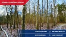 Atrakcyjna działka przy lesie z doskonałym dojazdem | 8243 m² | Piskórka - 6