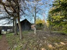 Siedlisko z domem Podlejki duża działka - 16