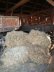 Sprzedam siano - 5