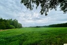 Działka budowlana Chlewiska gm. Kotuń - 10