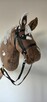 Hobby horse - 1