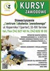 Kursy i szkolenia zawodowe - 2