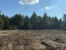 Działka w leśnej okolicy blisko jezioro Zdworskie! - 6