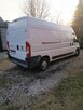 Fiat Ducato chlodnia - 8