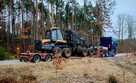 transport niskopodwoziowy - 8