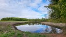 1,56ha DZIAŁKA BUDOWLANA ZE STAWEM 35min od Gdańsk - 2