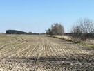 Działka inwestycyjna Gromadka, - 7