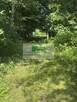 NA SPRZEDAŻ DZIAŁKA W OTOCZENIU LASU W JELNEJ - 6