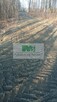 NA SPRZEDAŻ DZIAŁKA W OTOCZENIU LASU W JELNEJ - 10