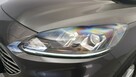 Ford Kuga 2.5 FHEV FWD Titanium! Z polsiego salonu! FV 23% - 10