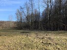Działka rolna Jodłowa - 10