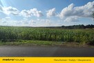 Działka rolna 3,08 ha w pobliżu lasu i jeziora. - 4