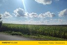 Działka rolna 3,08 ha w pobliżu lasu i jeziora. - 6