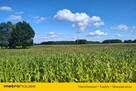 Działka rolna w Urowie z warunkami zabudowy. - 5