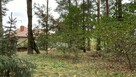 Dom z lasem łącznie 2500m2 - 5