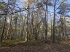 Działka leśna w jednym kawałku na sprzedaż – gm. Mordy - 2