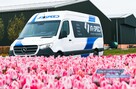AR-SPEED – Lider przewozów do Holandii, Belgii i Niemiec! - 2