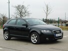 Audi A3 2.0TDi Quattro Podgrzewane Fotele - 5