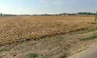 Działka budowlana o pow. 941m2, Żelazków - 1