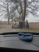 SPRZEDAM RĘBAKI KOSIARKI, INNE - 3