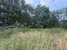 Syndyk sprzeda udział ½ w działce leśnej - 4