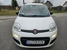Fiat Panda Bezwypadkowy,Polski salon - 1