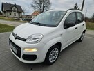 Fiat Panda Bezwypadkowy,Polski salon - 2