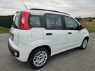 Fiat Panda Bezwypadkowy,Polski salon - 4