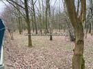 Działka rolno-budowlana Wodzisław Śląski - 4